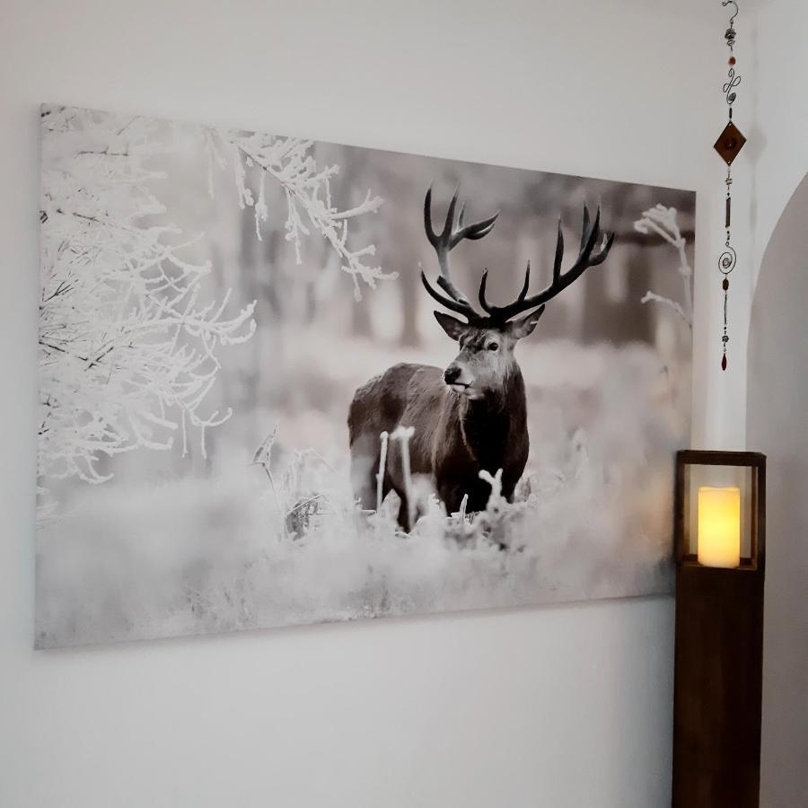 Haus Waldfriede Διαμέρισμα Sankt Leonhard im Pitztal Εξωτερικό φωτογραφία