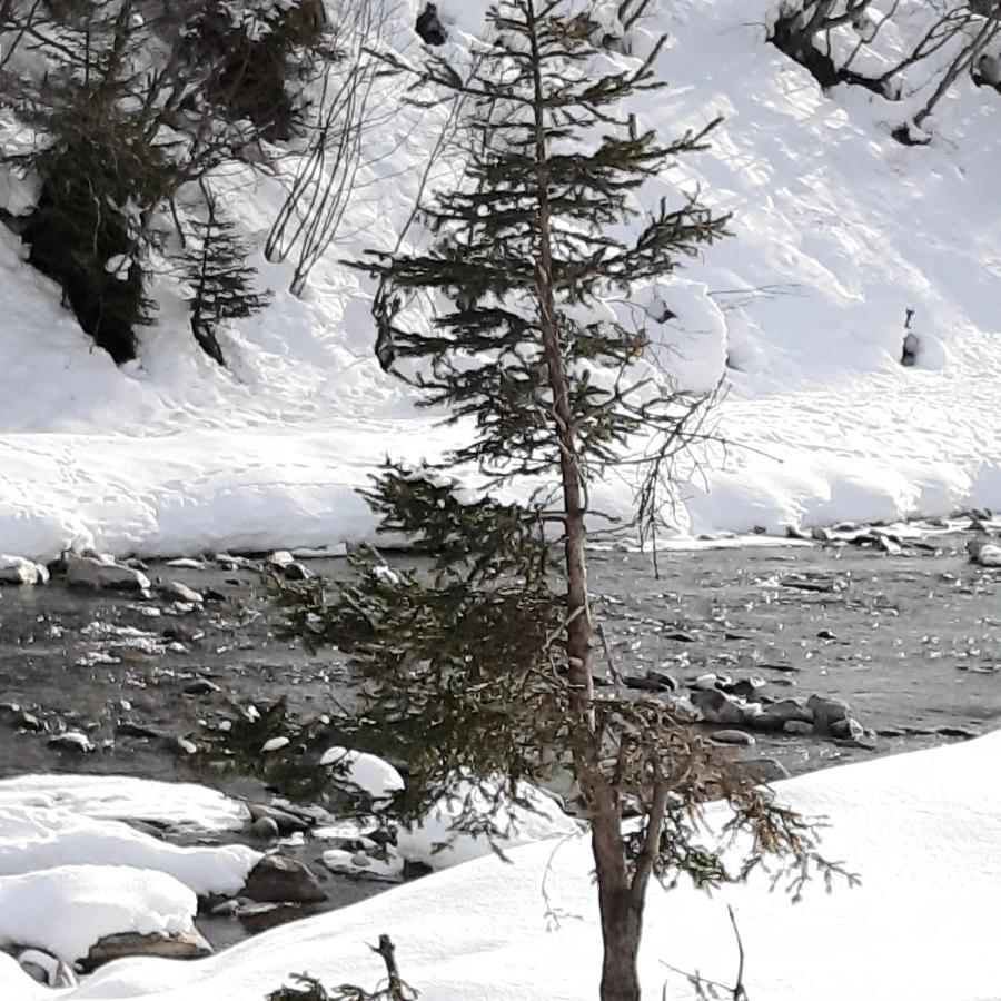 Haus Waldfriede Διαμέρισμα Sankt Leonhard im Pitztal Εξωτερικό φωτογραφία