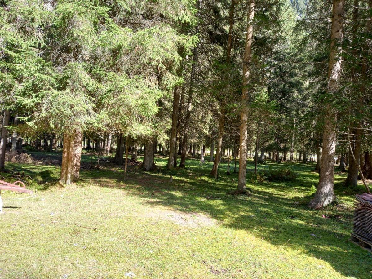 Haus Waldfriede Διαμέρισμα Sankt Leonhard im Pitztal Εξωτερικό φωτογραφία